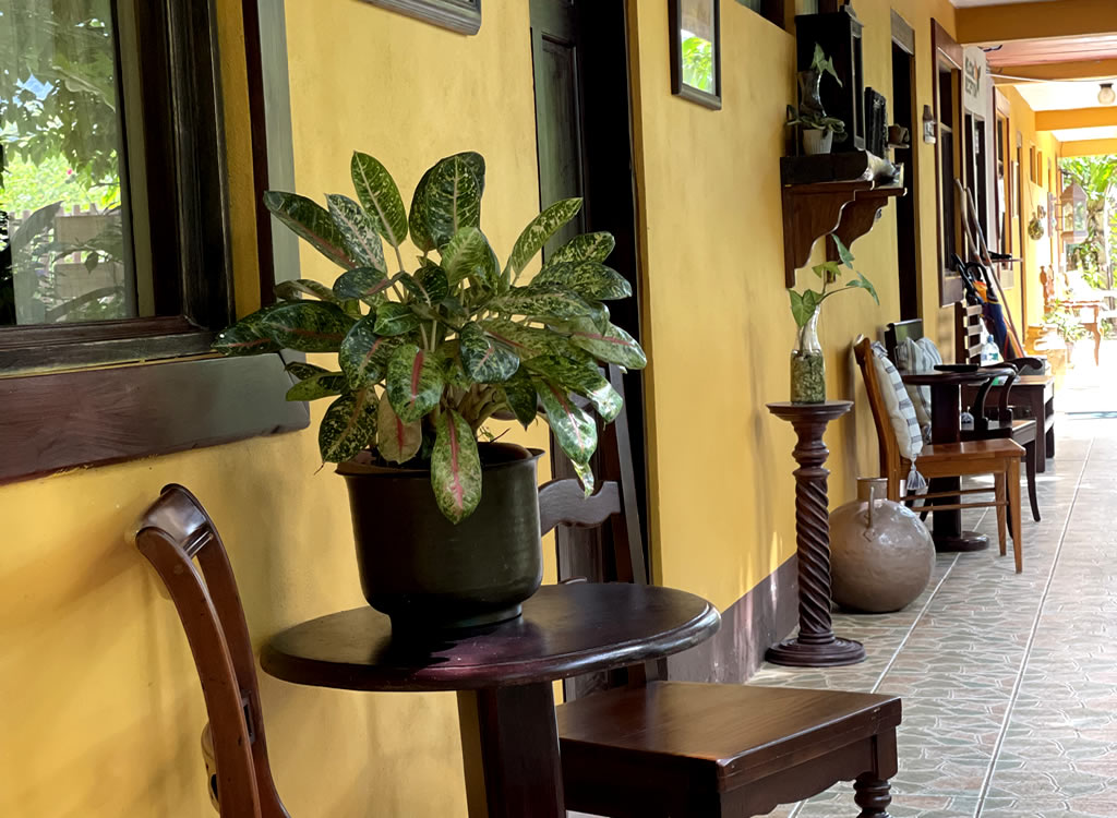 Economy Double with Garden View