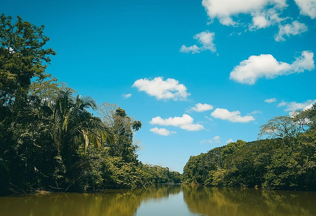 Caño Negro Wetlands